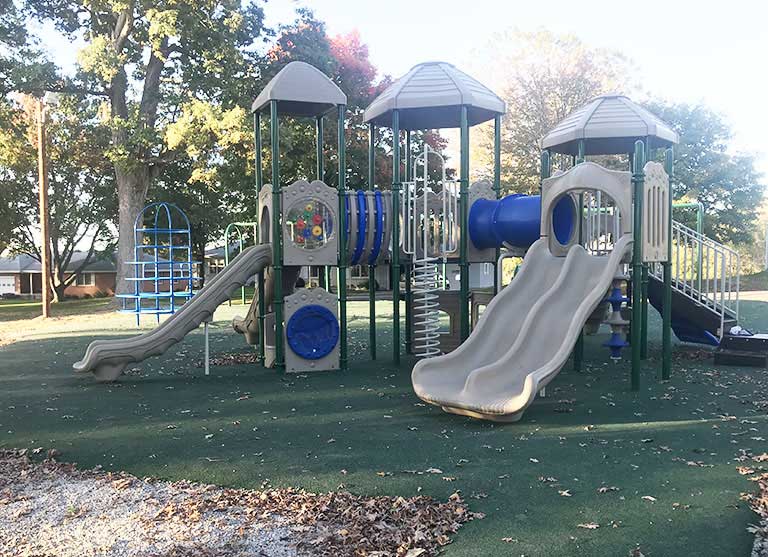 Landscape Illustration Picture